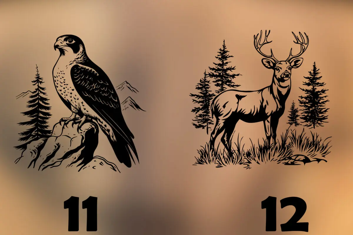 Acacia Decoratieplank Veluwe Wildlife Edition met lasergravure van een Veluws dier. Sfeervolle foto met warme avondgloed en natuurlijke decoratie.