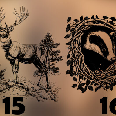 Acaciahouten Decoratieplank Veluwe Wildlife Edition. Kies jouw wildgravure: Edelhert, Zwijn, Vos of Ree. Puur ambacht in warme Brandmeester-stijl. Acacia Decoratieplank Veluwe Wildlife Edition met lasergravure van een Veluws dier. Sfeervolle foto met warme avondgloed en natuurlijke decoratie.