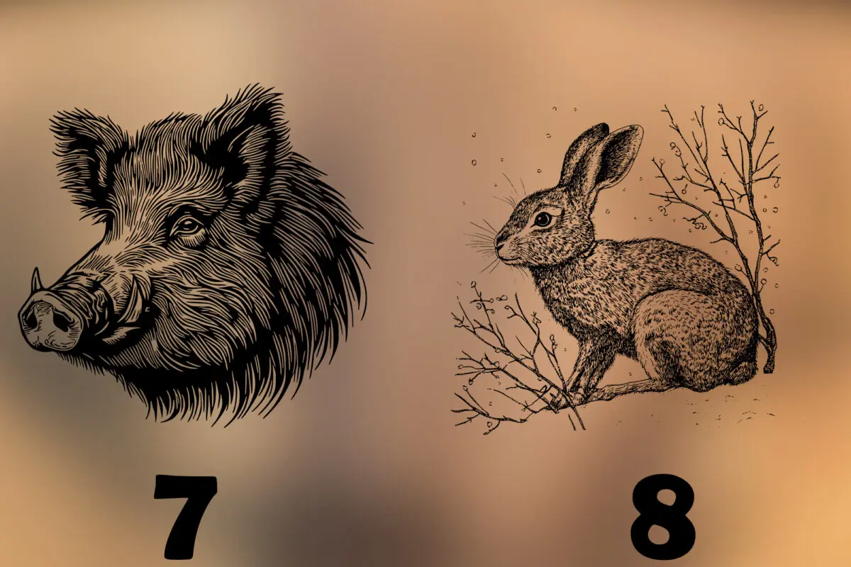 Acacia Decoratieplank Veluwe Wildlife Edition met lasergravure van een Veluws dier. Sfeervolle foto met warme avondgloed en natuurlijke decoratie.