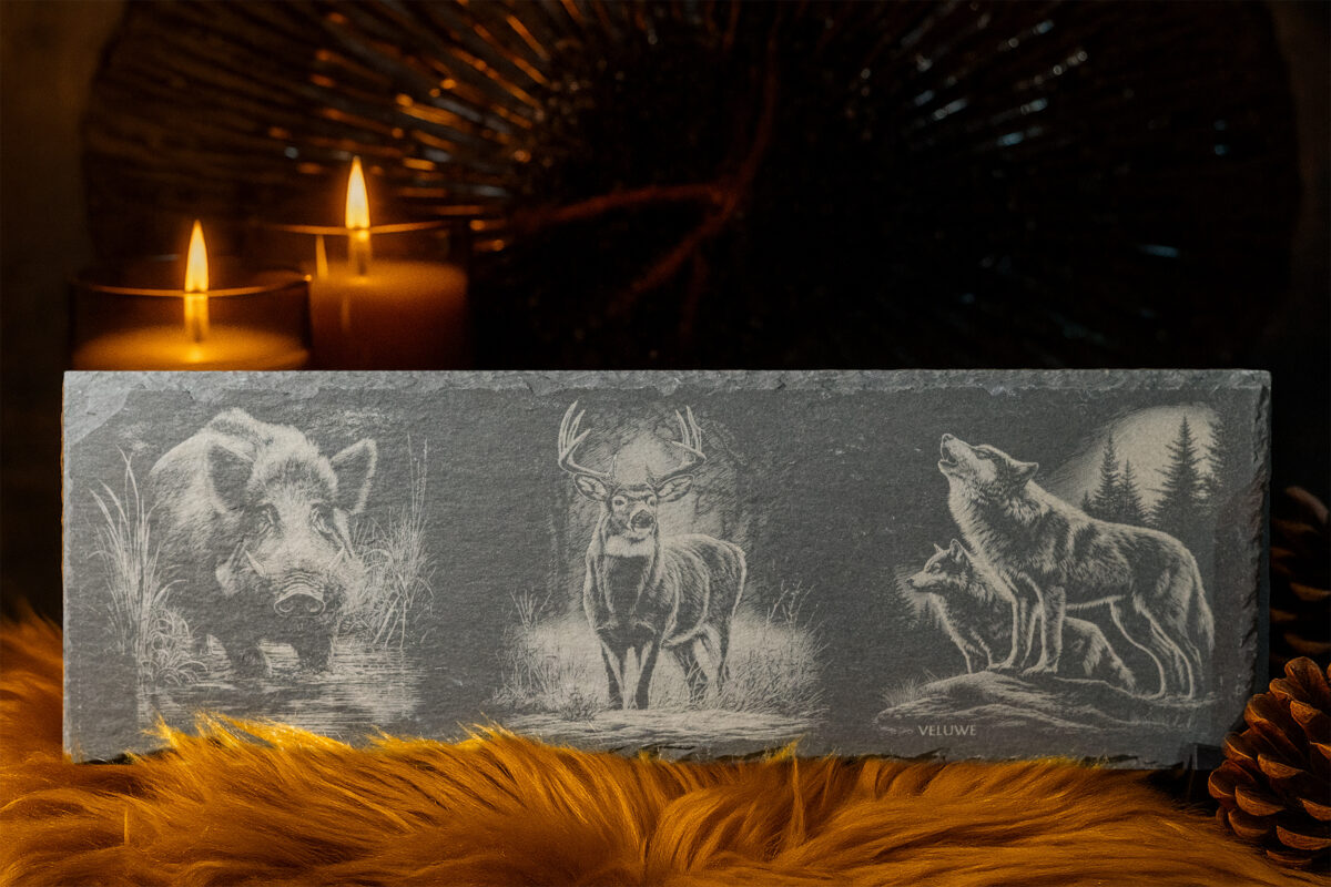Leisteen gravures van edelhert, wild zwijn & wolf | De Meesterbrander Leisteen decoratieplank met gravure van edelhert, wild zwijn of wolf – ambachtelijk Veluws laserwerk.